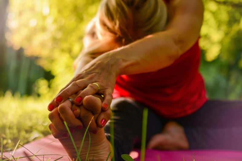 Somatic Movement